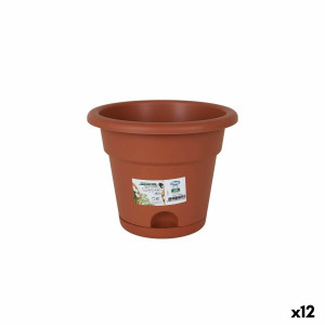 Vaso con Piatto Dem...
