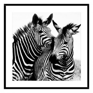 Quadro Zebra Vetro (2 x 50...