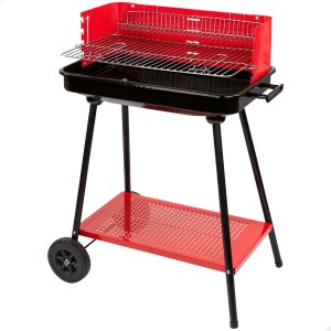 Barbecue a Carboni con...