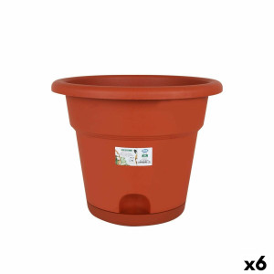 Vaso con Piatto Dem...