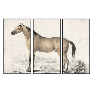 Quadro DKD Home Decor...